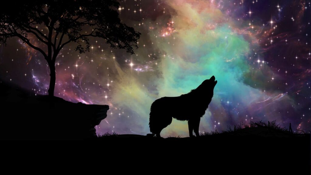 epic galaxy wolf wallpaper