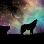 The Best Epic Galaxy Wolf Wallpaper for 2024